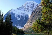 世界杯竞彩购彩网站 -AI是技术革新，不是“岗位革命”