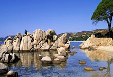 竞彩买球平台 -中(zhōng)国本科生留學(xué)专業(yè)选择趨(qū)势：商科理工双主导 人(rén)文降温新(xīn)兴崛起